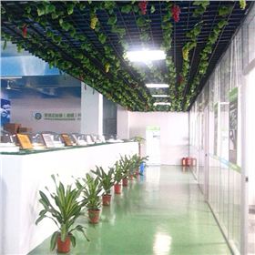 原來這就是光導照明系統(tǒng)啊