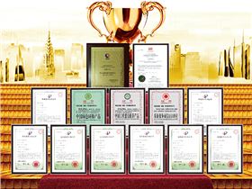 正能量科技企業(yè)榮譽(yù) 正能量科技企業(yè)榮譽(yù)