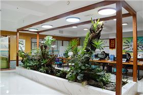 光導管2 光導管2