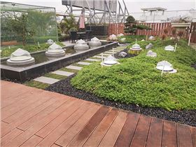 自然光照明 自然光照明