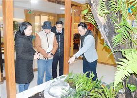 雙模式無電照明系統(tǒng) 雙模式無電照明系統(tǒng)