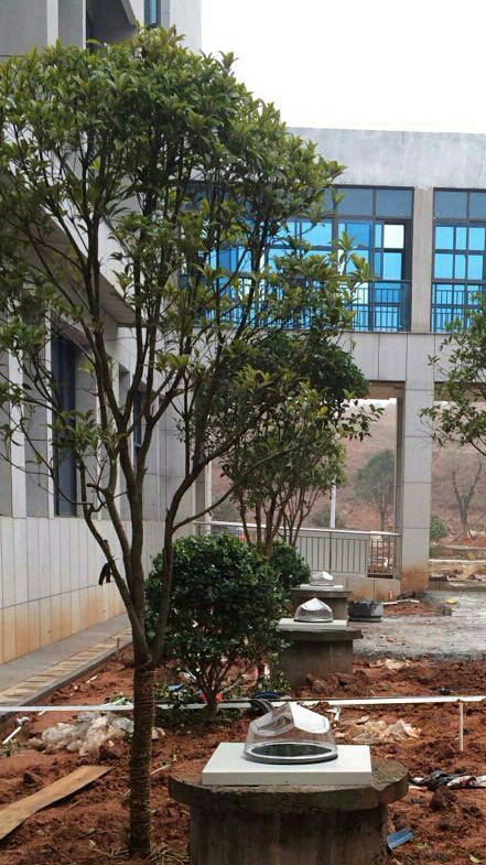 光導(dǎo)照明施工 光導(dǎo)照明施工