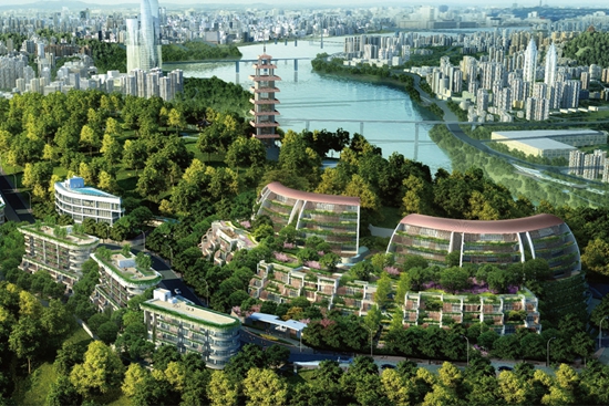 重慶鵝嶺峰——導光系統(tǒng)應用 重慶鵝嶺峰——導光系統(tǒng)應用