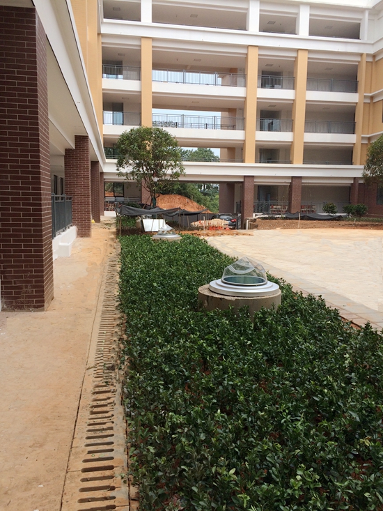 LɳtЌW(xu)oϵy(tng)