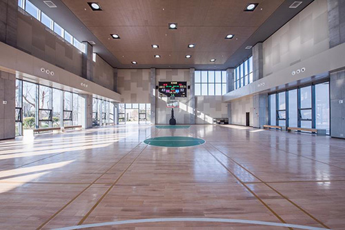 體育館照明效果 體育館照明效果