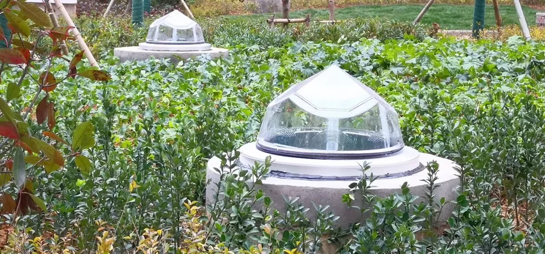 圖片2.png 圖片2.png