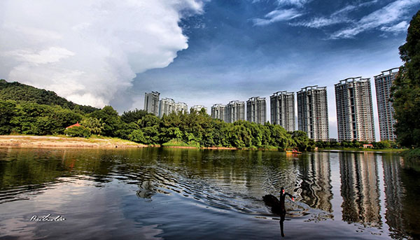 廣州祈福新村四季花園光導照明應用 廣州祈福新村四季花園光導照明應用